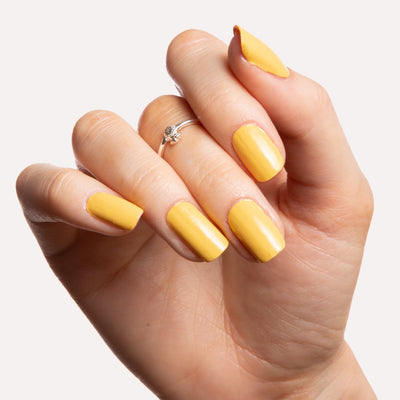 Mango Maniac