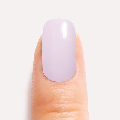 Lavender Love