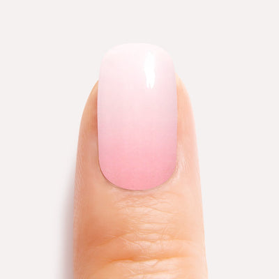 Rose Babyboomer