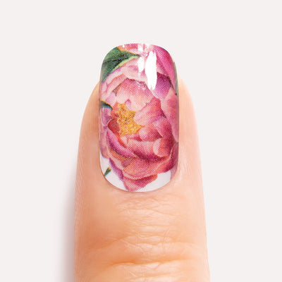 Peony Power