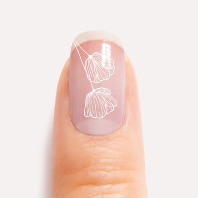 Tulip