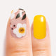 Daisy
