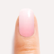 Rose Babyboomer