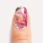 Peony Power